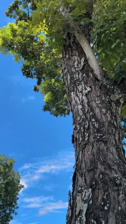 SOUND RAMADHAN VIRAL