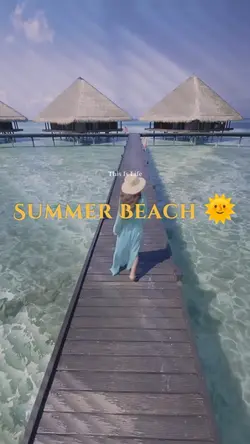 Summer Beach