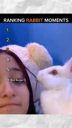 rabbit moments