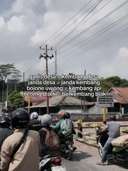 BERKEMBANG BIAK