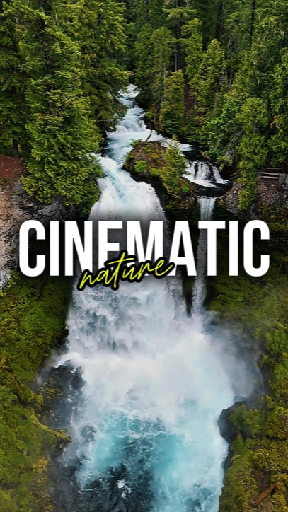 NATURE CINÉMATIQUE