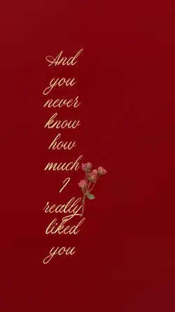how much I liked u..