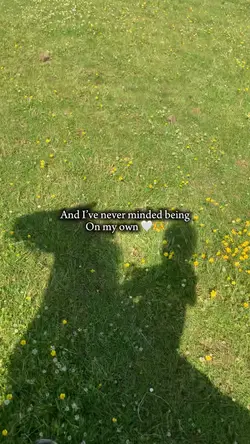 ⚠️NOT REAL⚠️