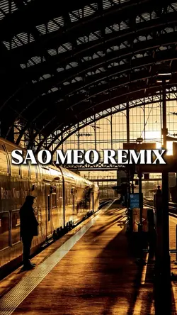 Sáo mèo remix