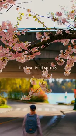 The Beauty of Spring