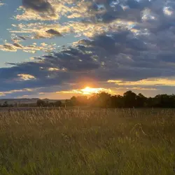 see the sunset