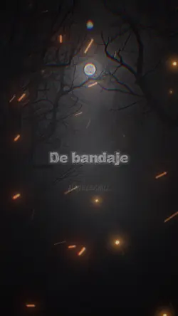 GUȚĂ ȘI DESANTO 2025