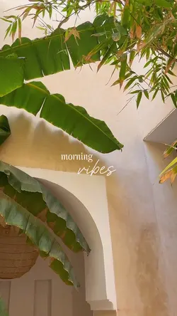morning vibes 🌿