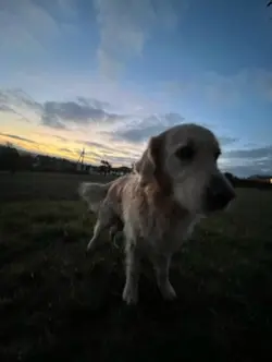 This is al we need ❤️‍🩹