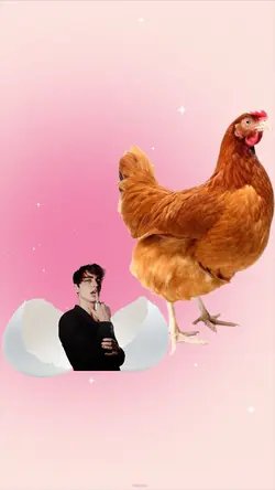 chicken egg