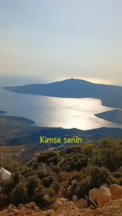 motivasyon 