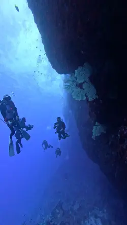 BUCEO GLOCK 