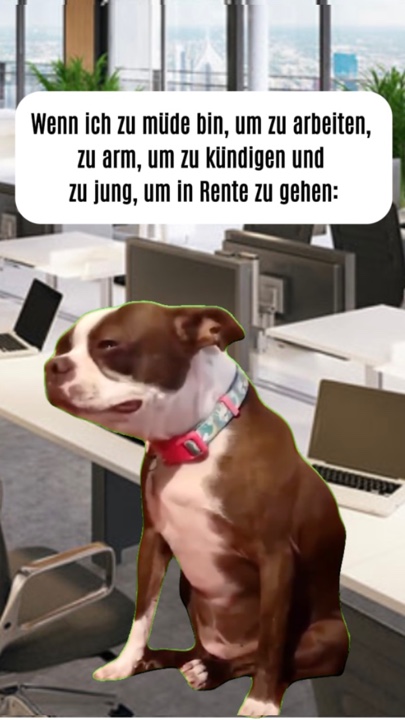 Meme de cachorro chorando 