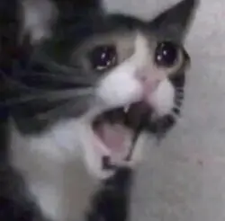 개학입니다 ^^