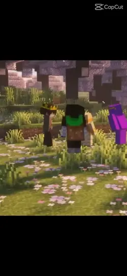 Minecraft be like