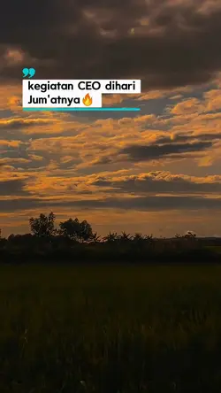 kegiatan CEO 