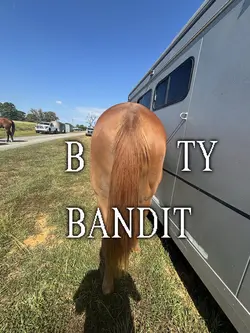 BOOTY BANDITTT