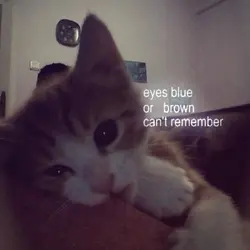 eyes blue