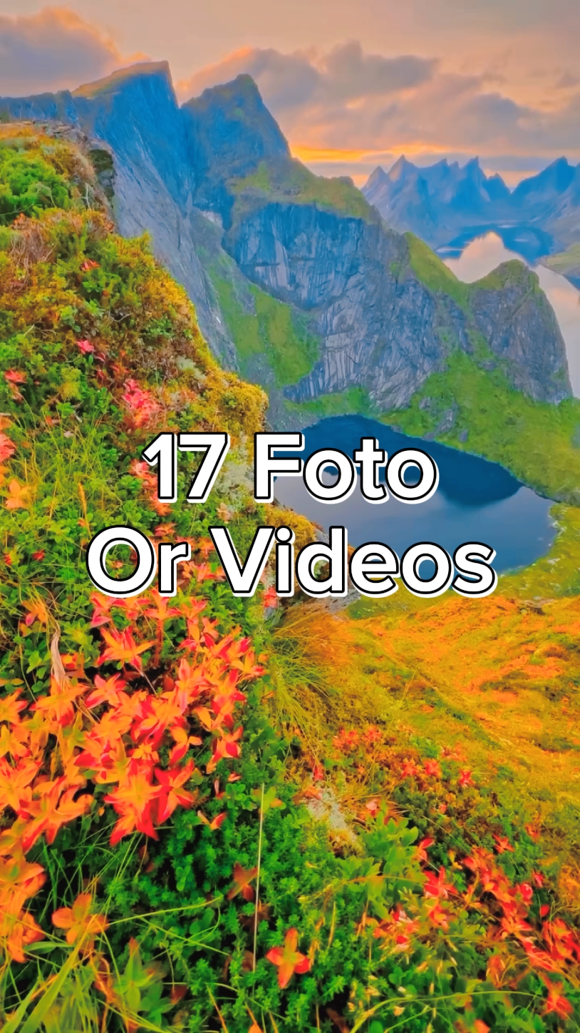 17 diapositive vidéo