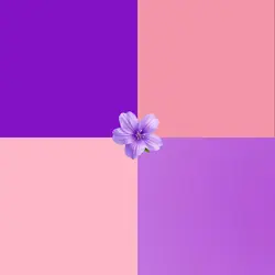 Kyky2bondi-hamza