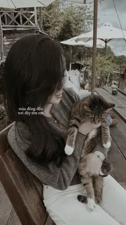 Mùa đông đến nơi đây