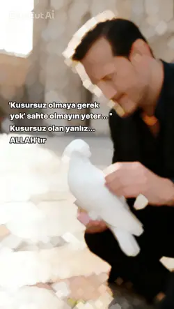 şablonun güzelliği