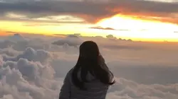 Cinematic vibes 