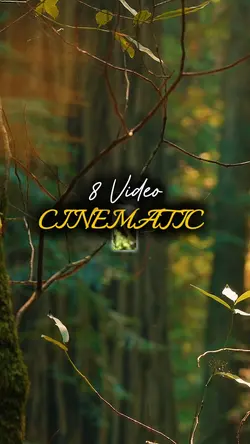 8 Clip Video