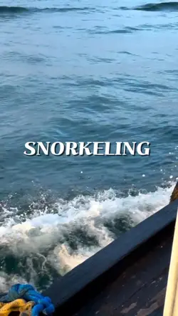 traveling