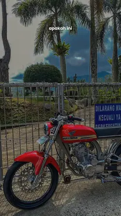 berpisah diujung jln