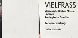 Das Vielfraß