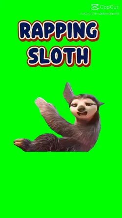 Rapping sloth 