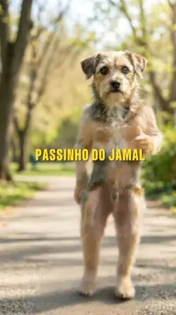 passinho do jamal