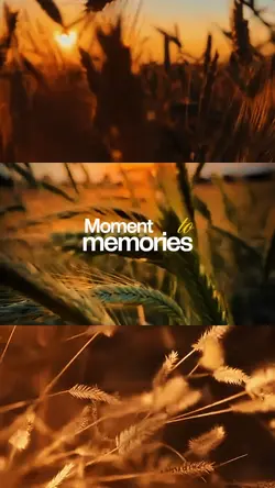 Moment to memories