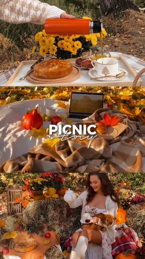 Picnic story