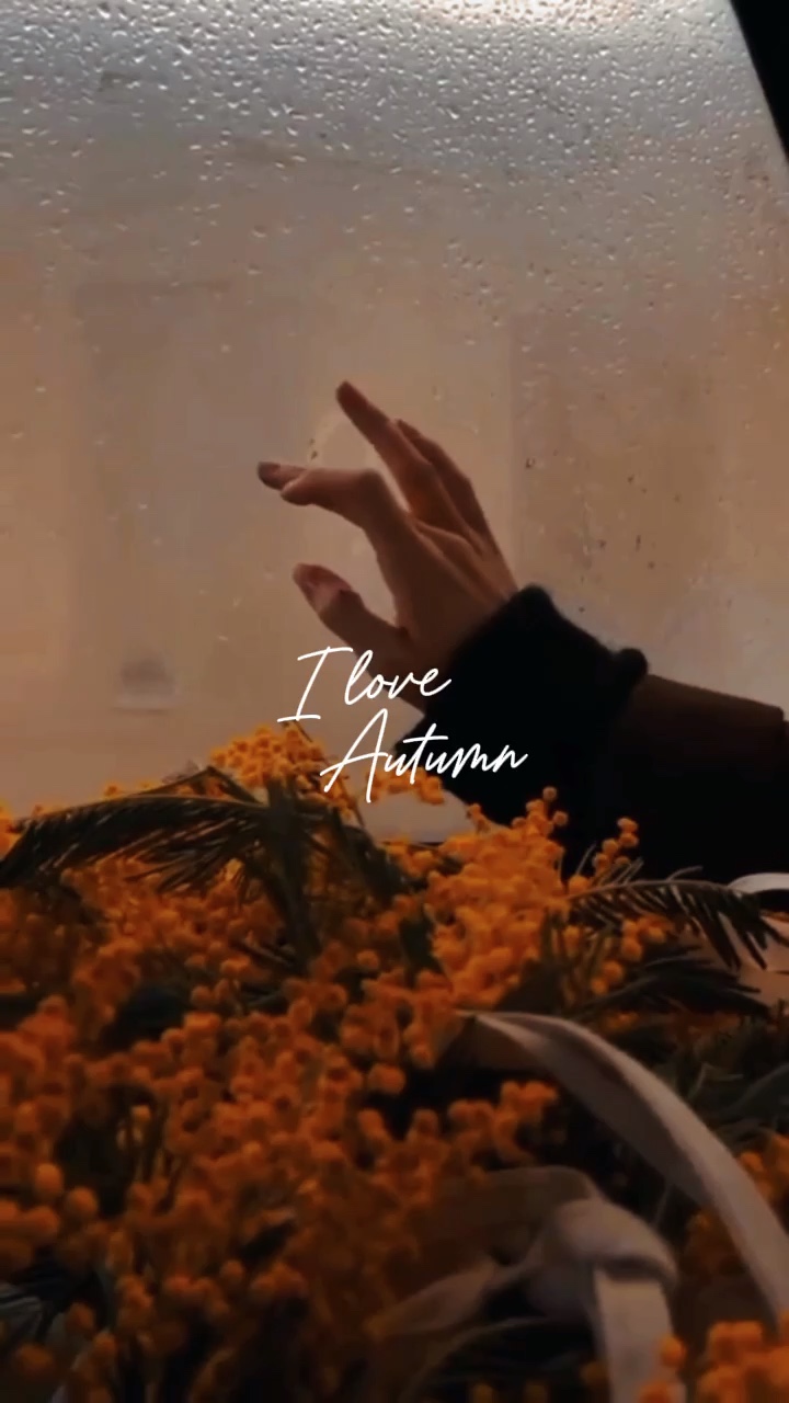 I LOVE AUTUMN
