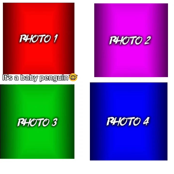 new edit tamplate
