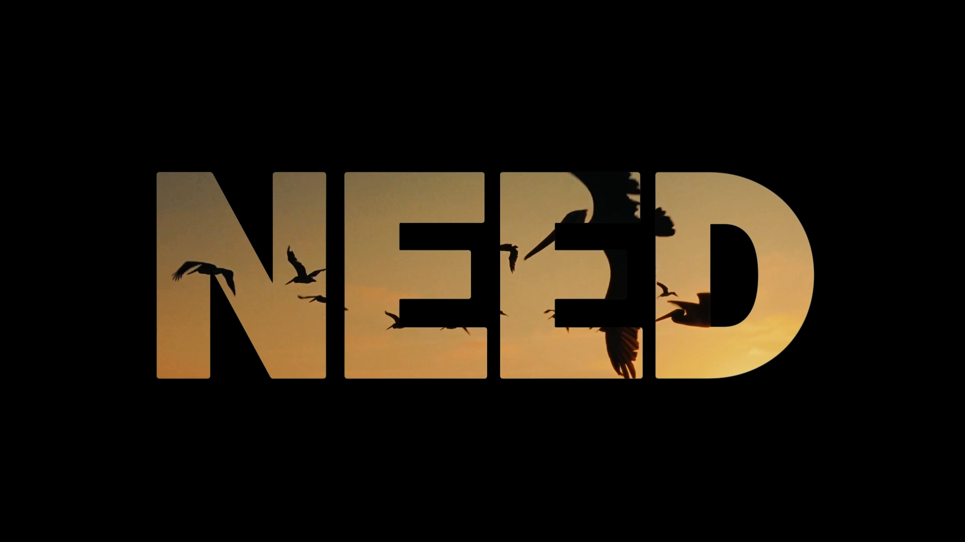 I JUST NEED SOME