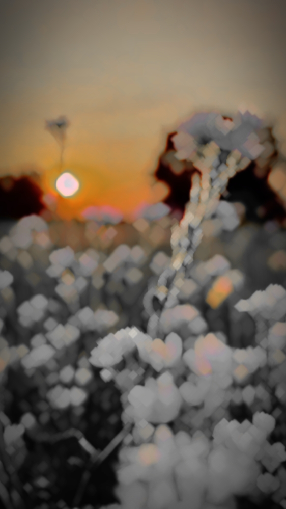 4k black Hdr slomo 