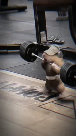Trend tập gym