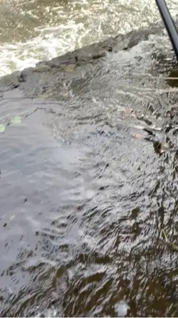 GODBAY AKU MANCING