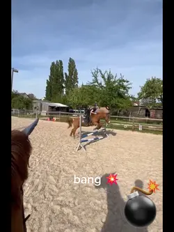 Rider and Horse