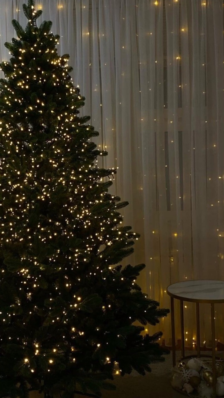 1 awnh Giáng sinh 🎄 
