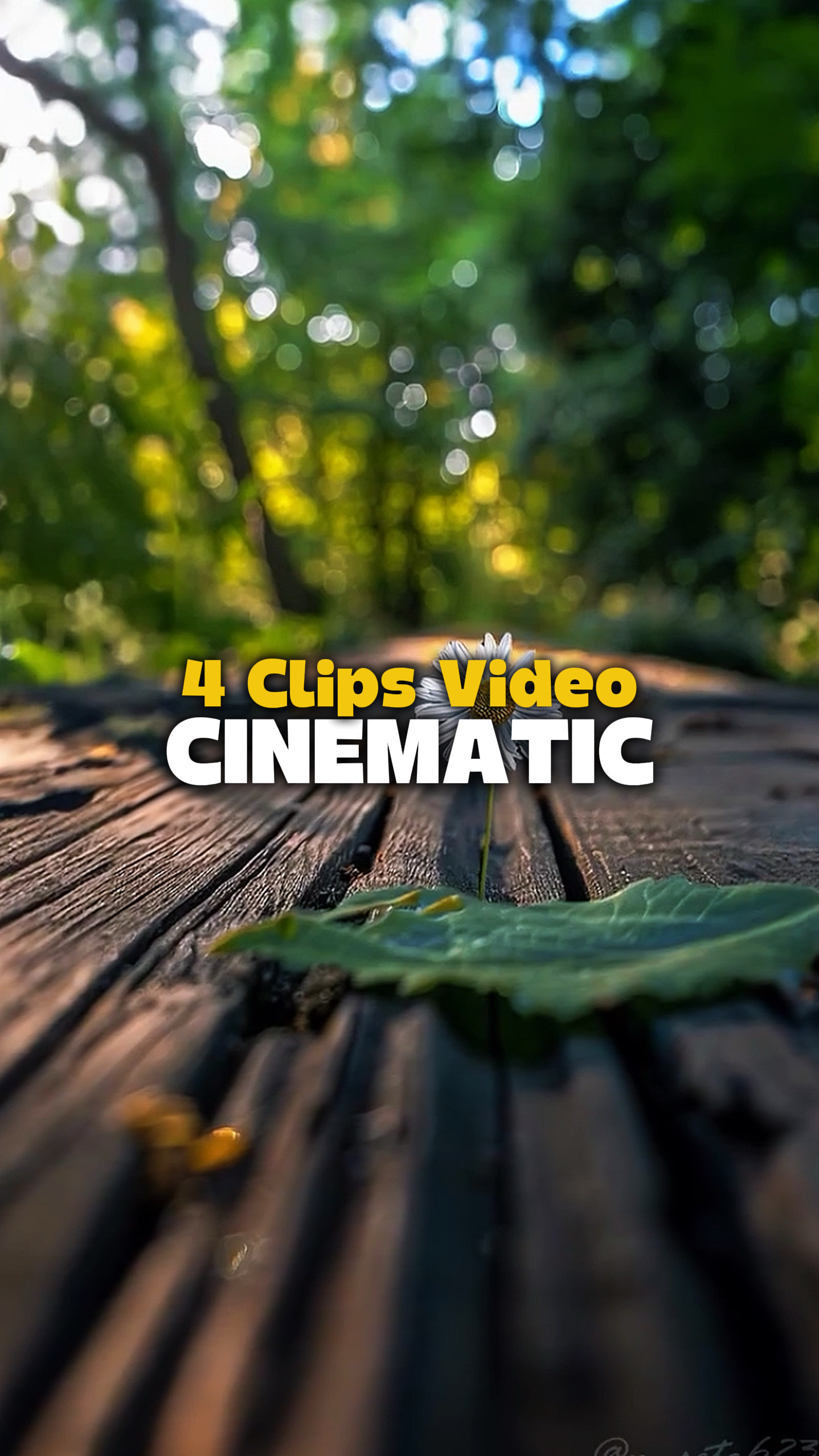 4 Videos Cinematic 