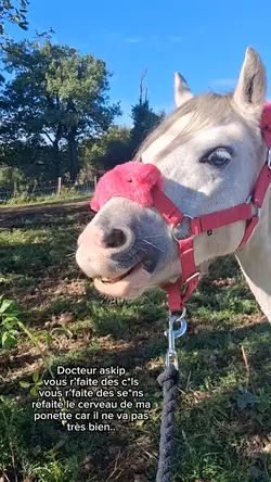le cerveau de mpoons