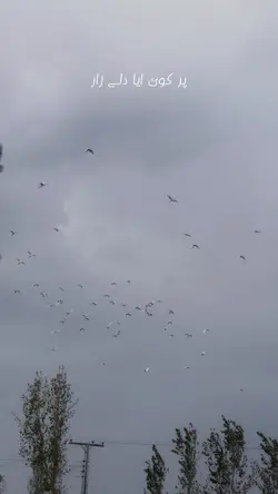 phir koi ayaa🥹❤️