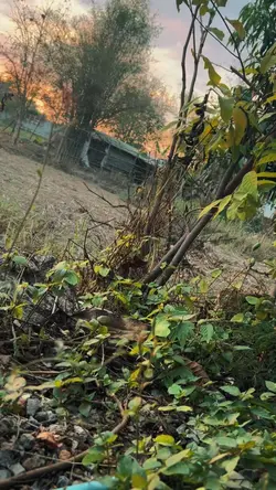 เพราะใจ🥰