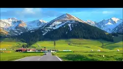 Nature video view 