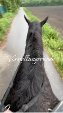 Vorstellung ✨