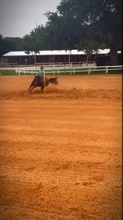 ⚠️FAKE⚠️got real poles